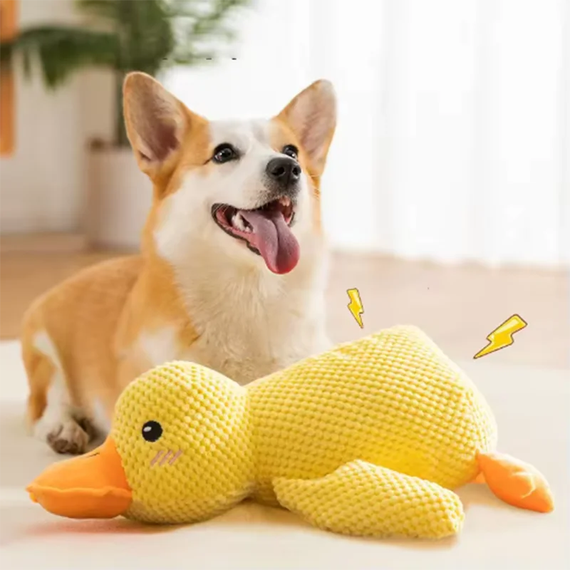 A golden retriever puppy sits next to a yellow plush duck toy.