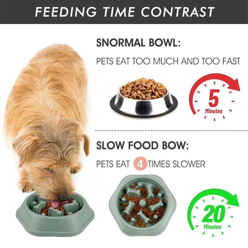 Cuenco Slow Feeder para Perros