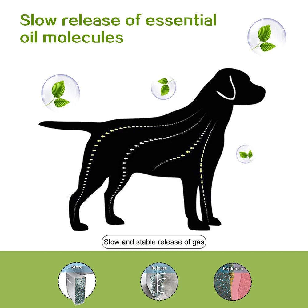 Diagram illustrating the slow release of essential oil molecules and stable gas release from a dog product.
