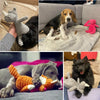 Corduroy Squeaky Plush Dog Toy - Bite-Resistant Animal Shapes