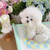 Vestido Floral de Encaje para Mascotas