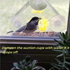 Acrylic Window Bird Feeder with Suction Cup