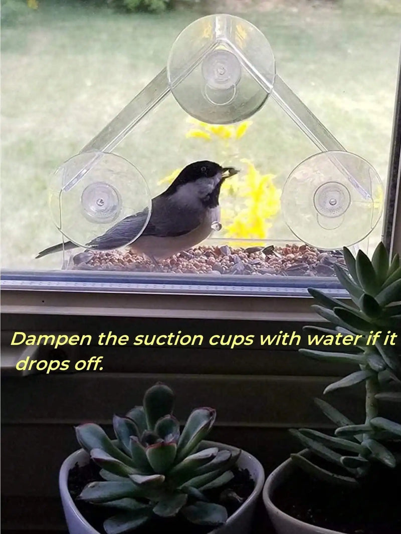 Acrylic Window Bird Feeder with Suction Cup