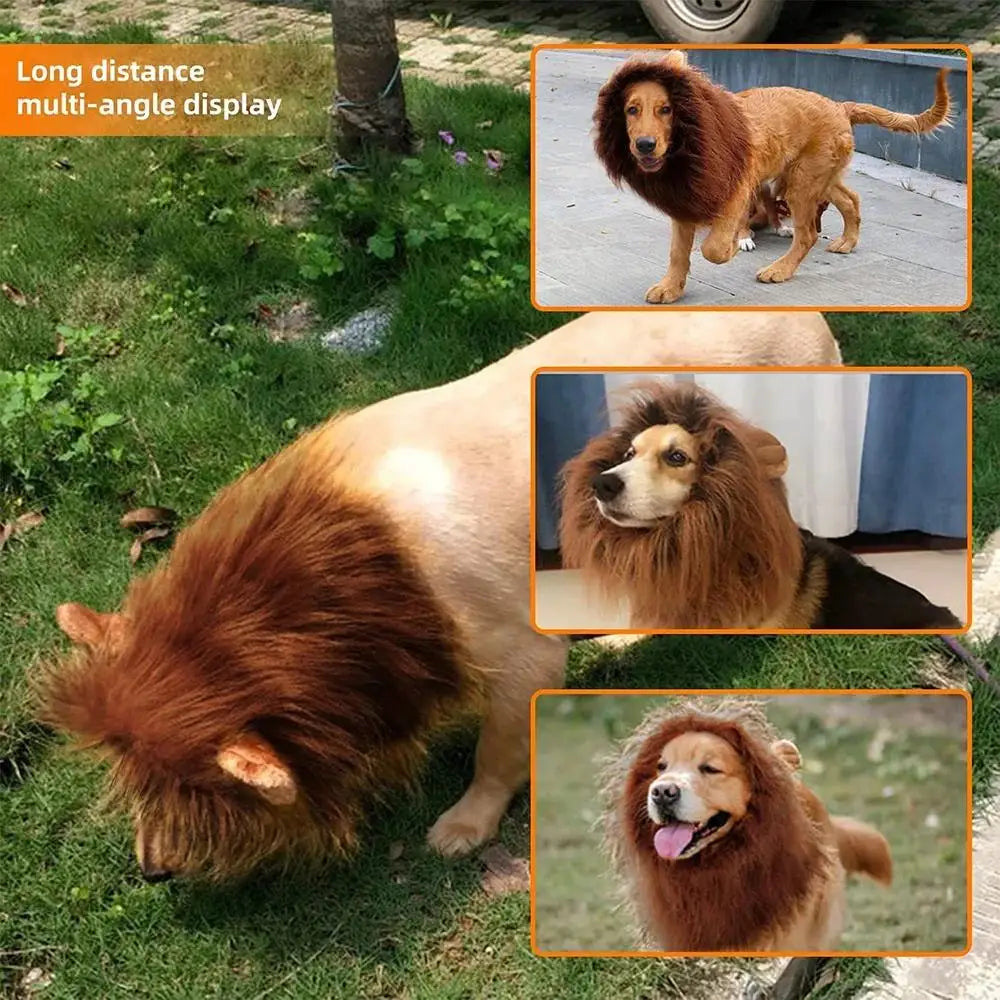 A dog with a realistic lion mane costume is shown in multiple angles outdoors.
