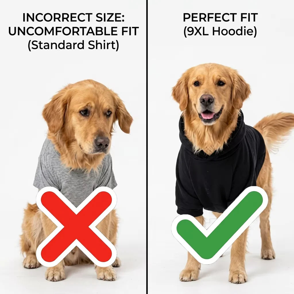 Cozy Hooded Dog Sweatshirt for Chilly Walks