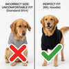 Cozy Hooded Dog Sweatshirt for Chilly Walks