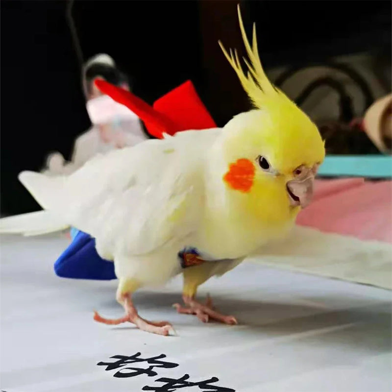 Traje de Vuelo Reutilizable para Loro de Algodón