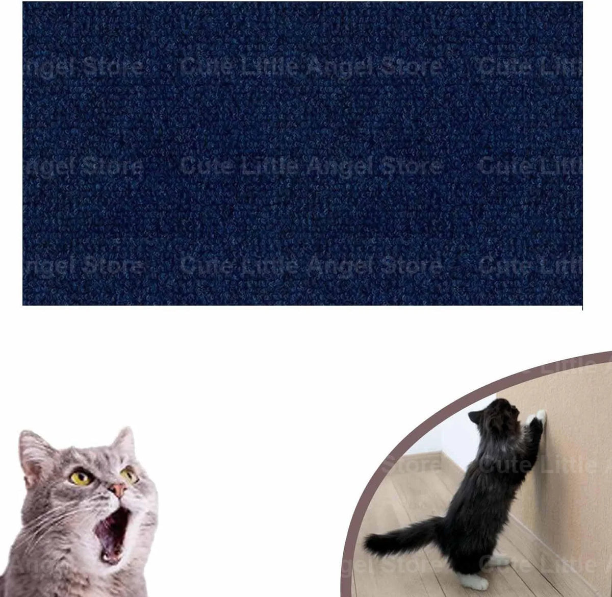 Un chat tigré regarde intensément l'appareil photo.
