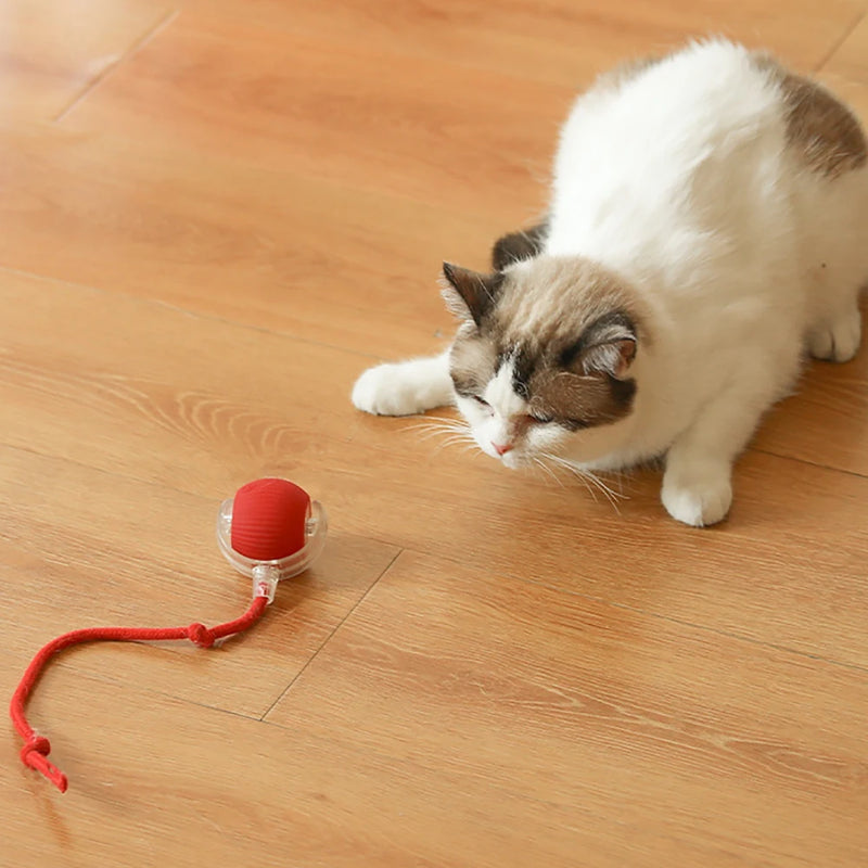 Automatic Rolling Cat Toy with Wiggling Tail