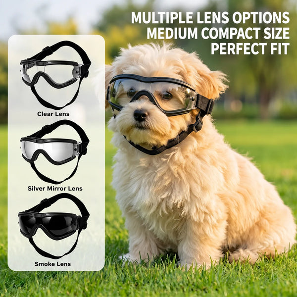 A fluffy dog wearing black sunglasses with multiple lens options for UV protection