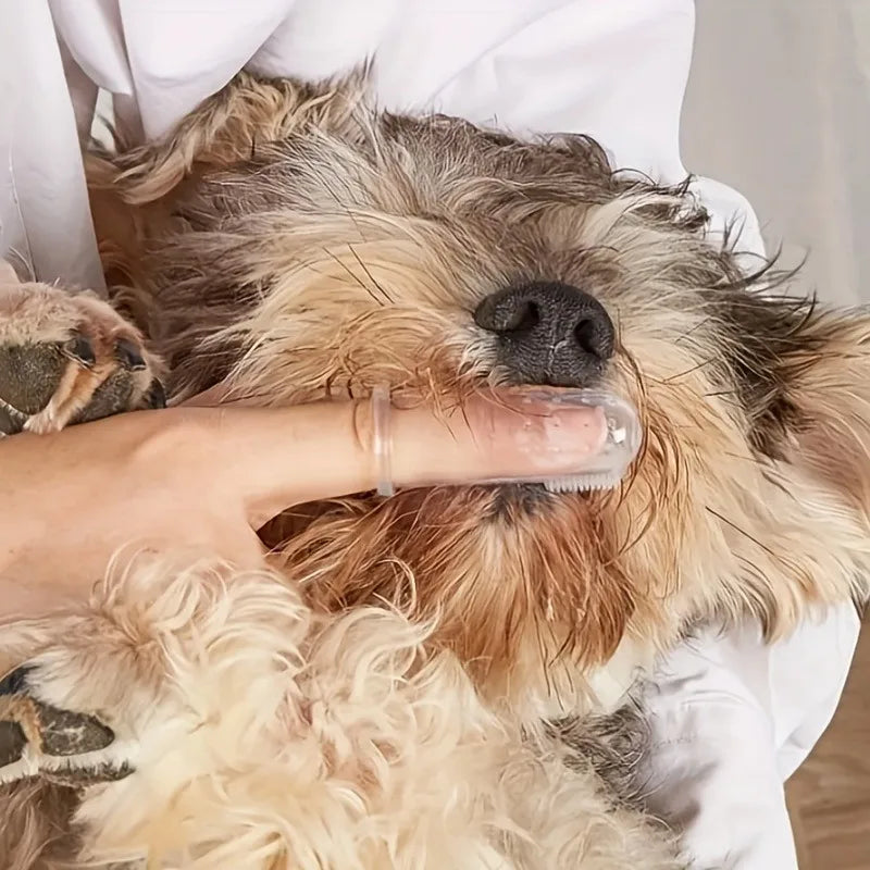 Silicone Finger Toothbrushes for Dogs and Cats - 5 Pack