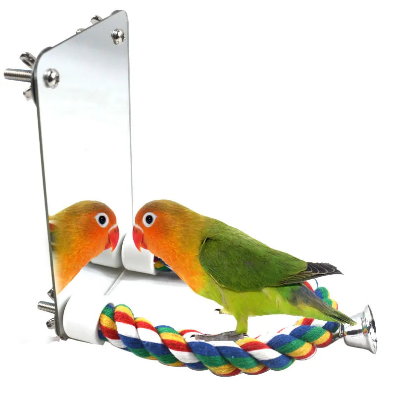 Interactive Parrot Activity Station with Mirror and Rope Perch