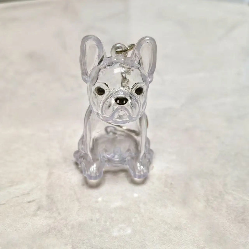 Porte-clés Souvenir pour Poils d'Animal