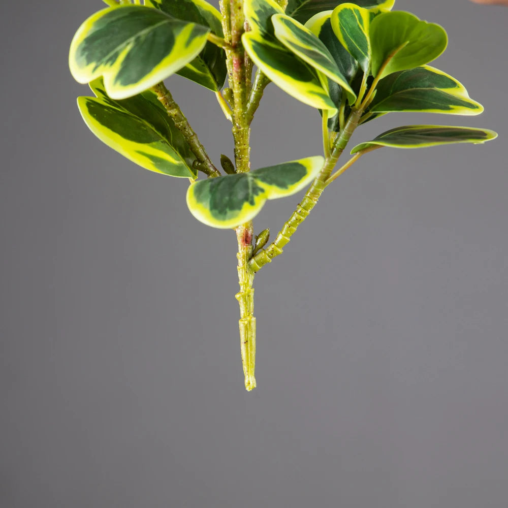 Artificial Heart-Leaf Ficus Plant with Green Leaves