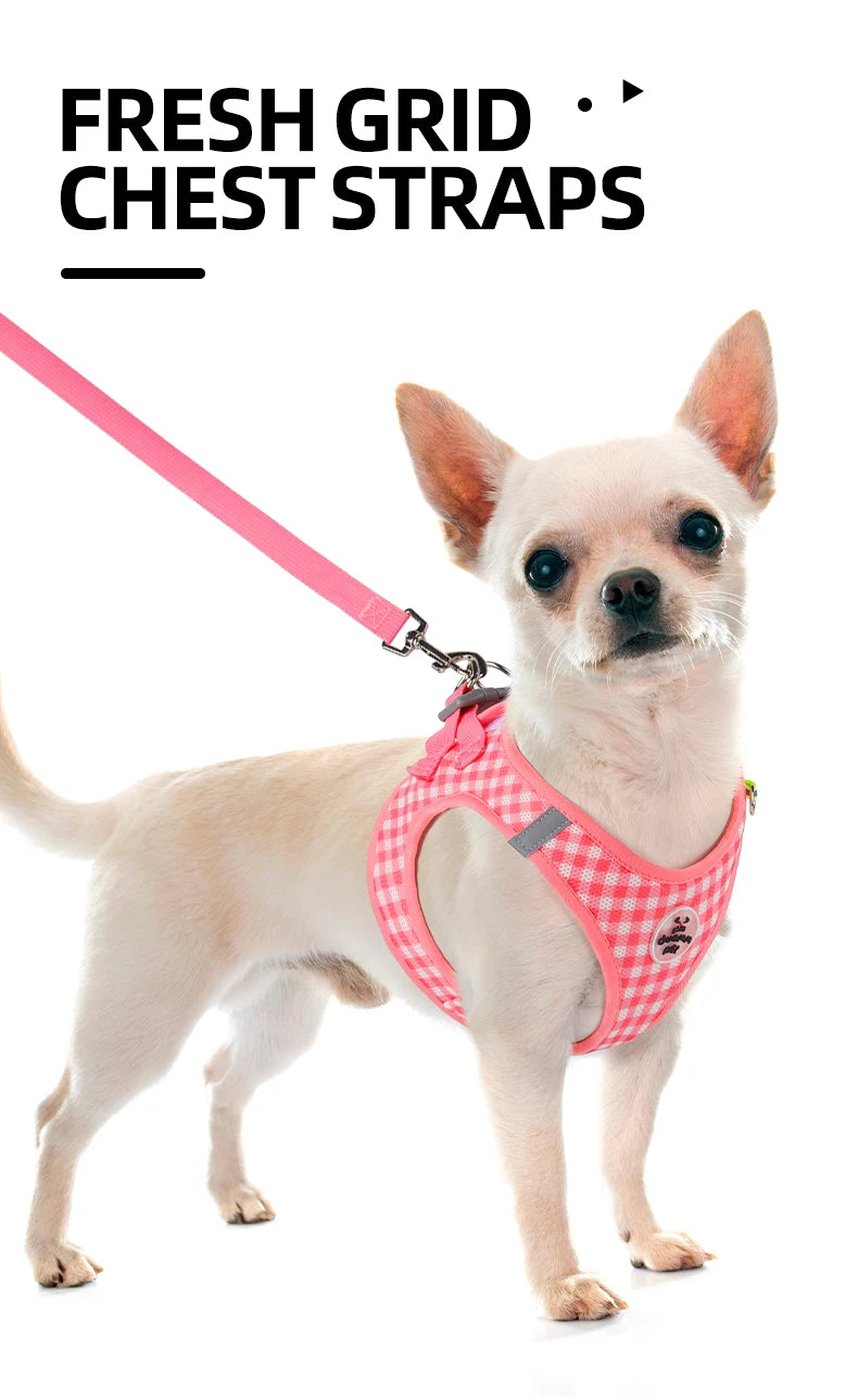 A small light-colored dog wearing a pink plaid harness with a pink strap and reflective strips.