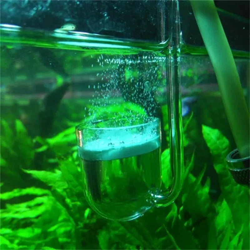 Équipement pour aquarium en verre montrant un liquide et un kit diffuseur avec clapet anti-retour, entouré de plantes aquatiq