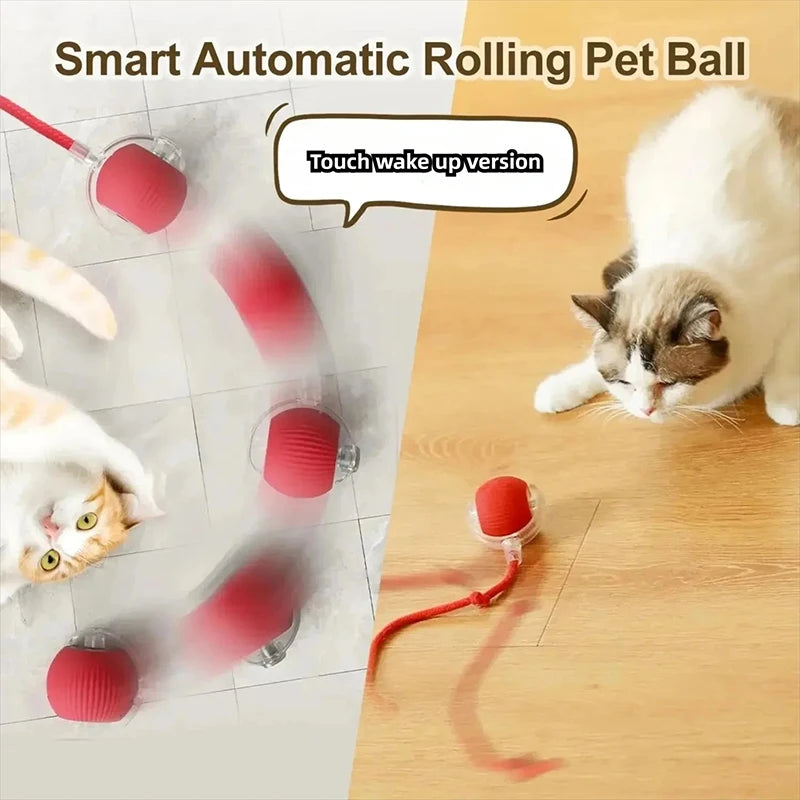 Interactive Rolling Cat Toy Ball with Smart Obstacle Avoidance
