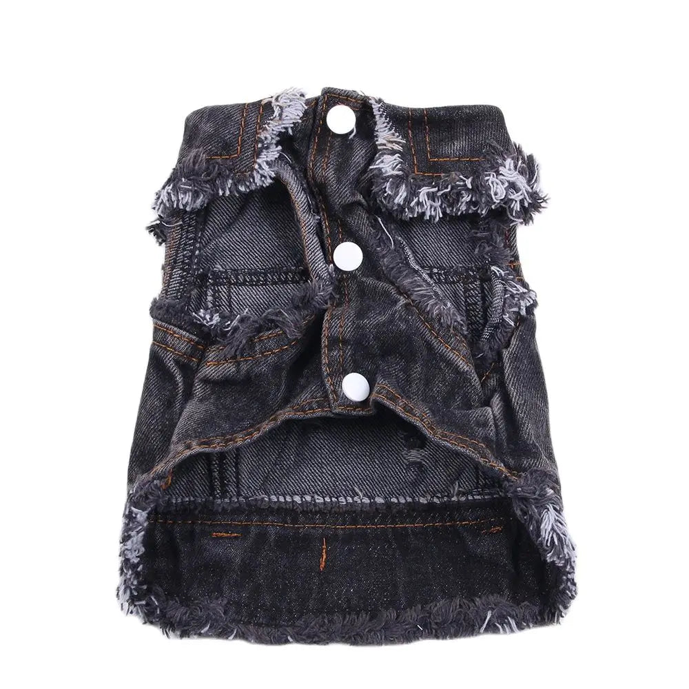 A dark gray denim jacket for dogs with frayed edges and fringed trim.