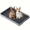 A pair of brown and white rabbits sitting on a dark gray pet litter box.