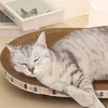 Grattoir pour chat en carton ondulé rond