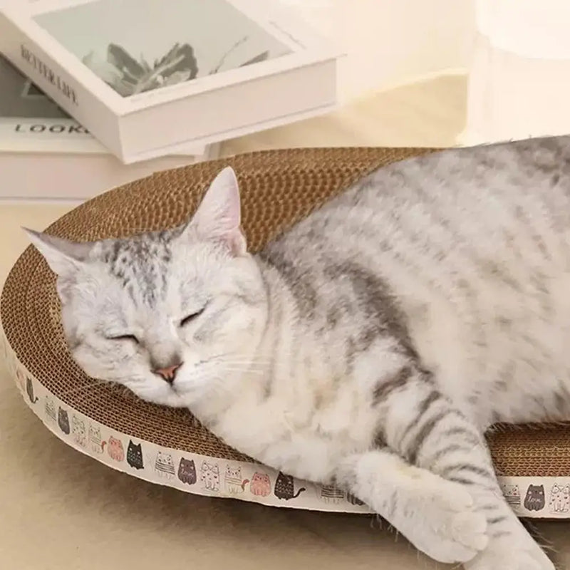 Grattoir pour chat en carton ondulé rond