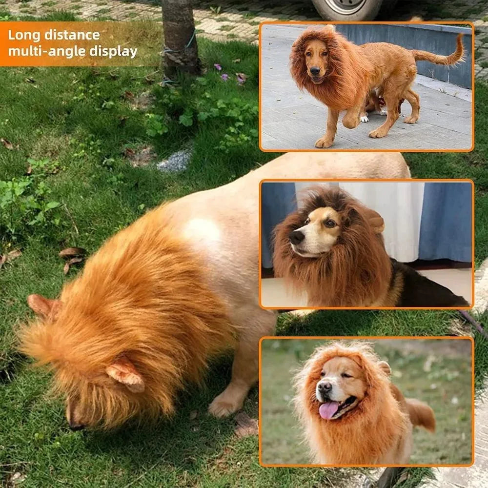 A dog with a realistic lion mane costume is shown in multiple angles outdoors.