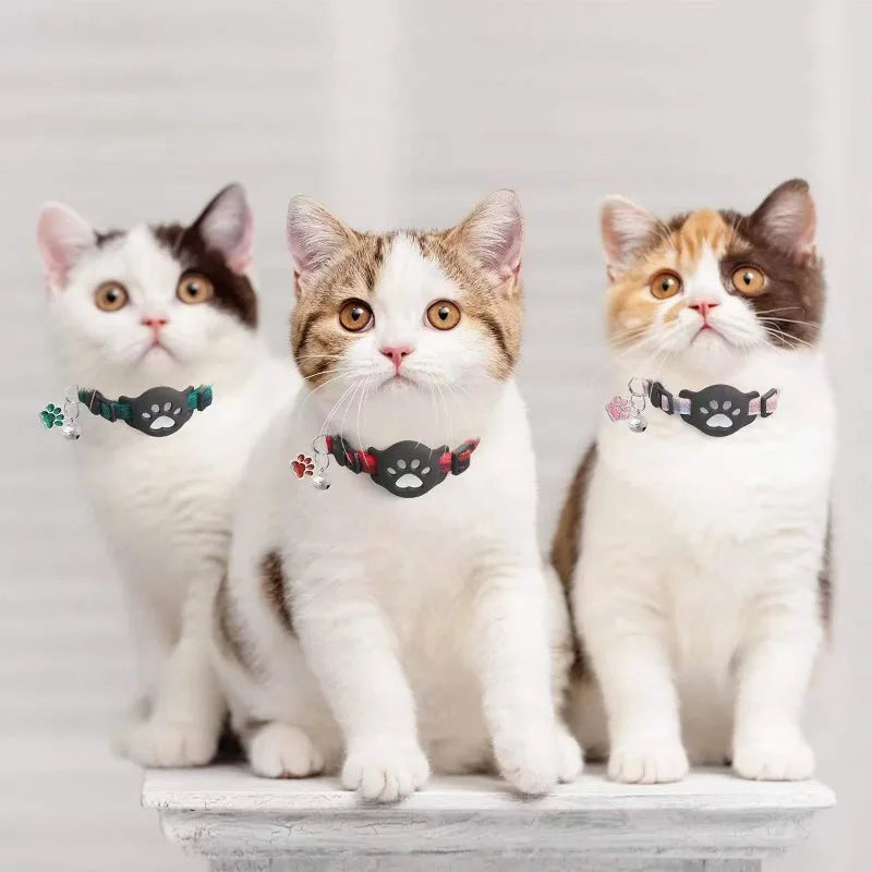Three domestic shorthair cats wearing black and orange adjustable collars with airtag holders and bells.