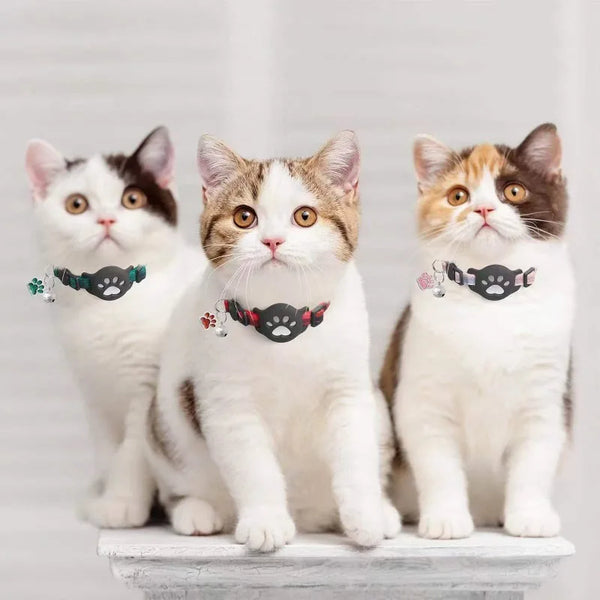 Three domestic shorthair cats wearing black and orange adjustable collars with airtag holders and bells.