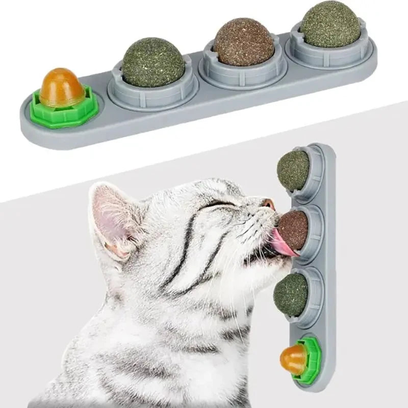 Edible Catnip Wall Balls for Dental Care and Play