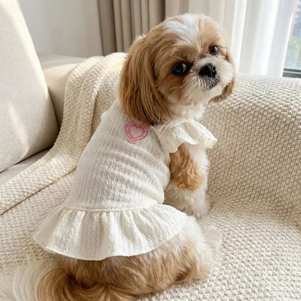 A small, light brown and white dog wearing a white dress with flutter sleeves and a pink heart detail.