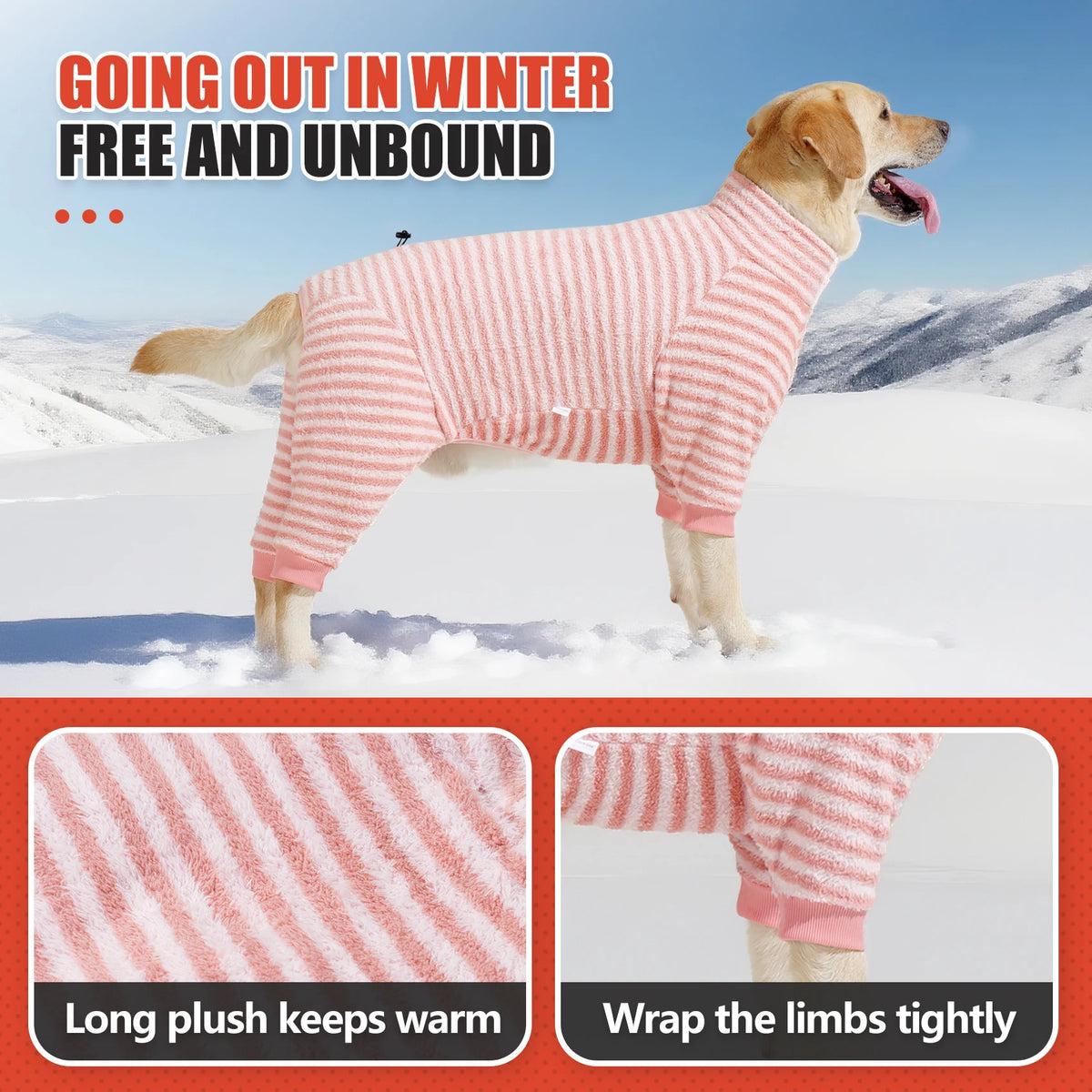 Goldener Hund mit rosa-weiß gestreiftem Fleece-Wintermantel im Schnee.