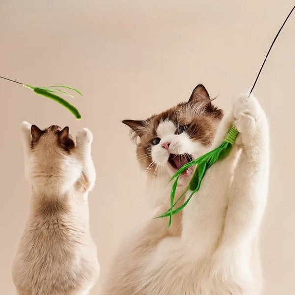 A fluffy white cat is playfully interacting with a green feather wand toy.