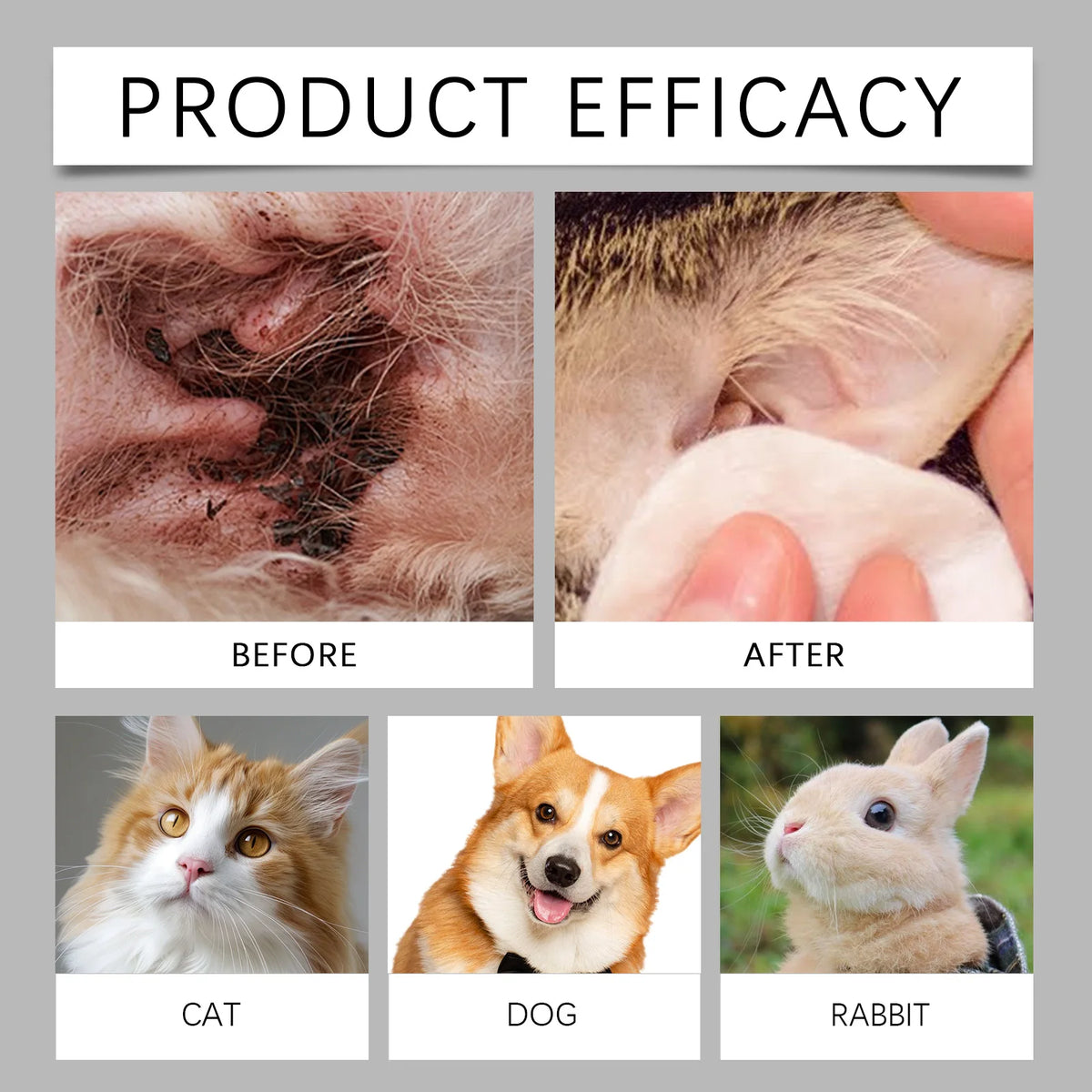 Comparison showing the before and after of natural pet ear cleaning drops on a cat, dog, and rabbit.