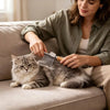 Une femme utilise une brosse professionnelle pour désrouiller un chat gris et duveteux qui se repose sur un canapé.