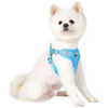 Dog Harness Leash Set with Reflective Strap for Small and Medium Dogs