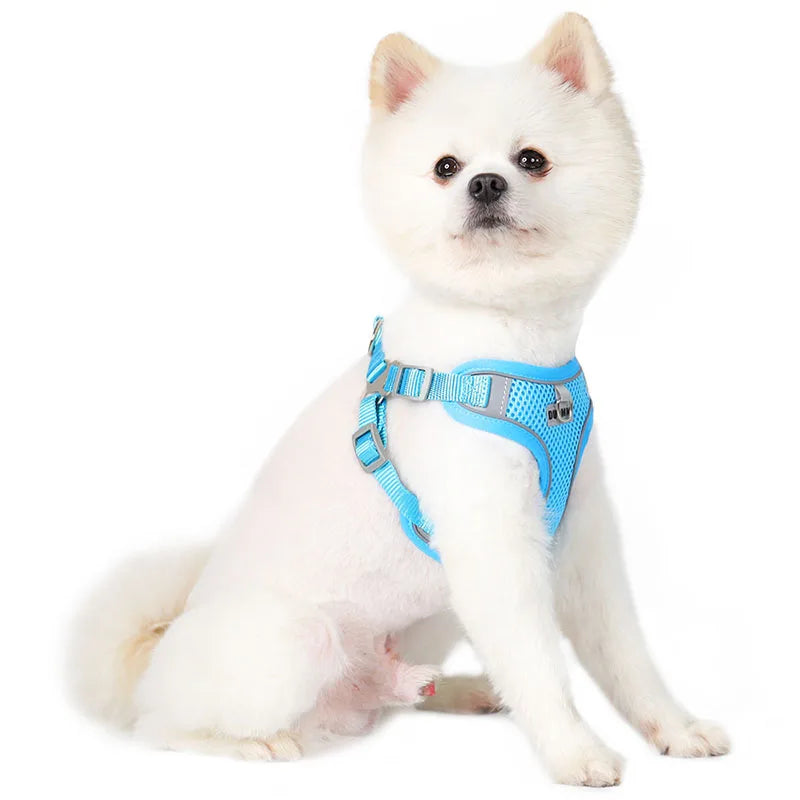 Dog Harness Leash Set with Reflective Strap for Small and Medium Dogs