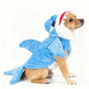 Ein kleiner Hund in einem blauen Fleece-Deko-Kostüm als Fisch mit weißen Akzenten.