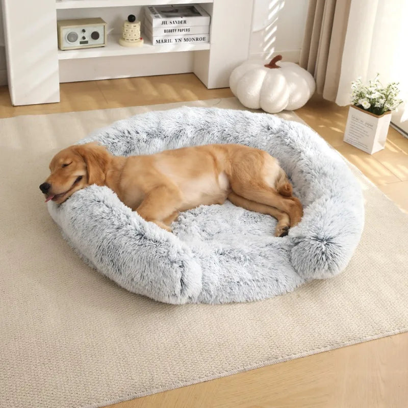 A light brown dog is lying on a round, fluffy gray pet bed on a cream rug next to a white shelf.