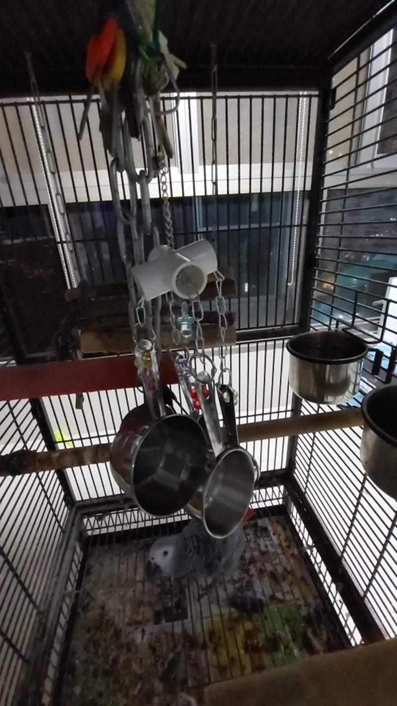 ألعاب ببغاء مع أوانٍ من الفولاذ المقاوم للصدأ