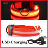 Red USB rechargeable pet safety light collar shown with a charging cable.
