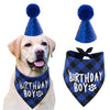 A golden retriever wearing a blue party hat and a blue plaid bandana for a birthday celebration.