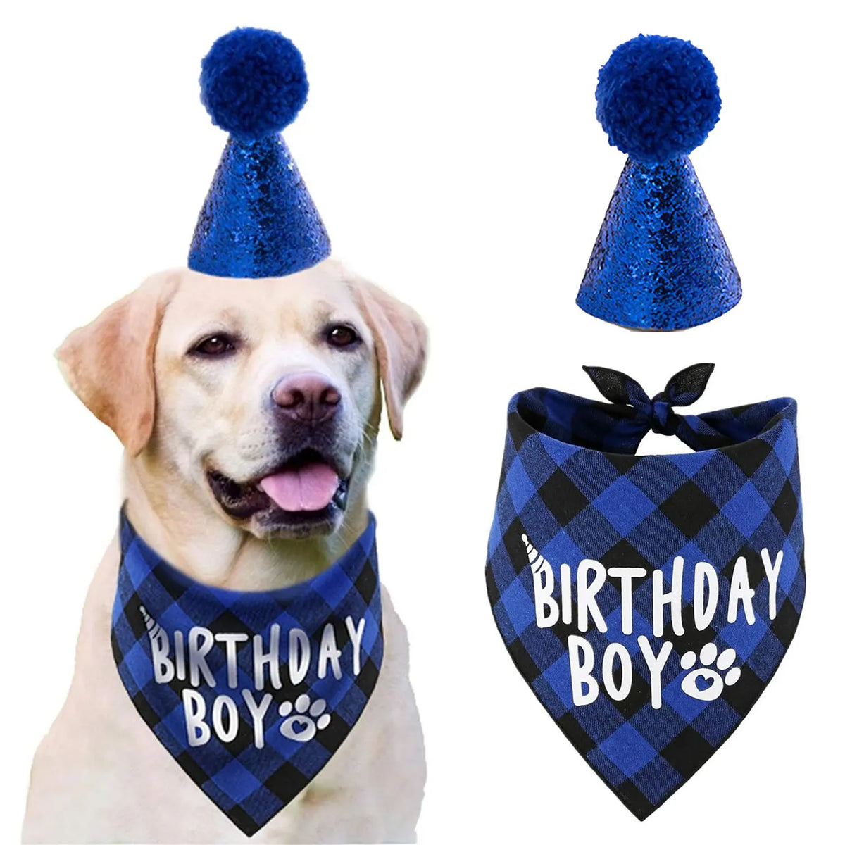 A golden retriever wearing a blue party hat and a blue plaid bandana for a birthday celebration.