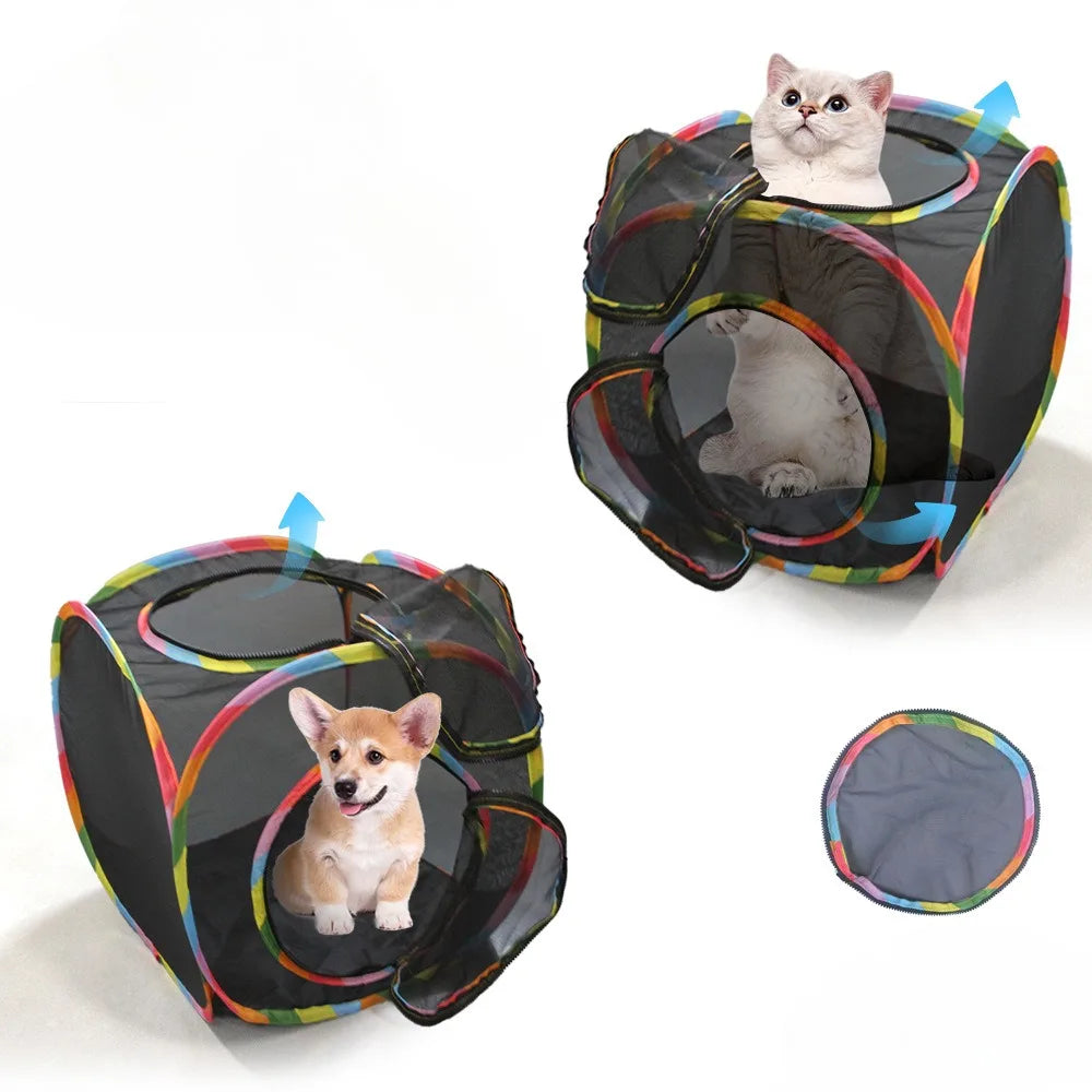A black mesh cat play tunnel with a tent and cube, featuring colorful accents, is shown with two cats inside.