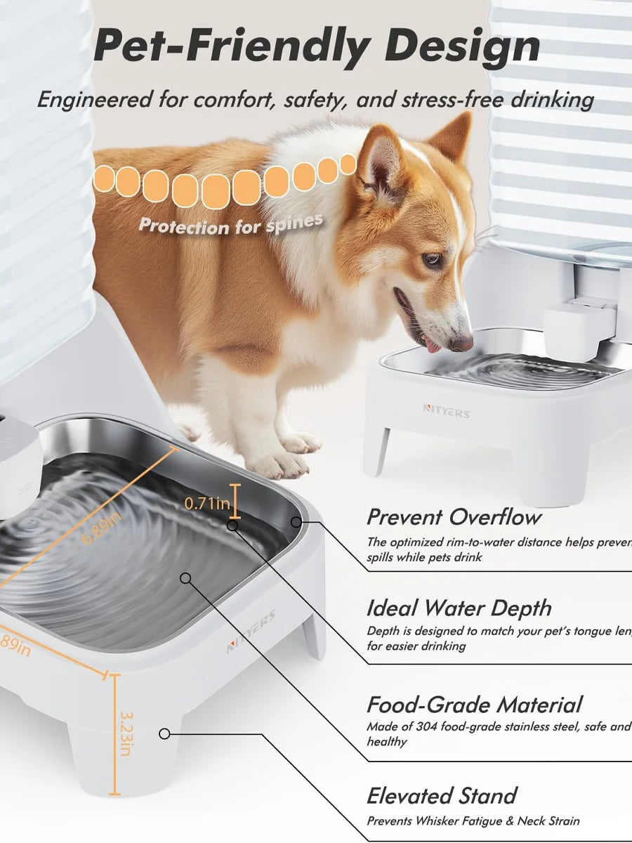A dog is drinking from a white pet water dispenser featuring an elevated stainless steel tray and gravity-fed design.