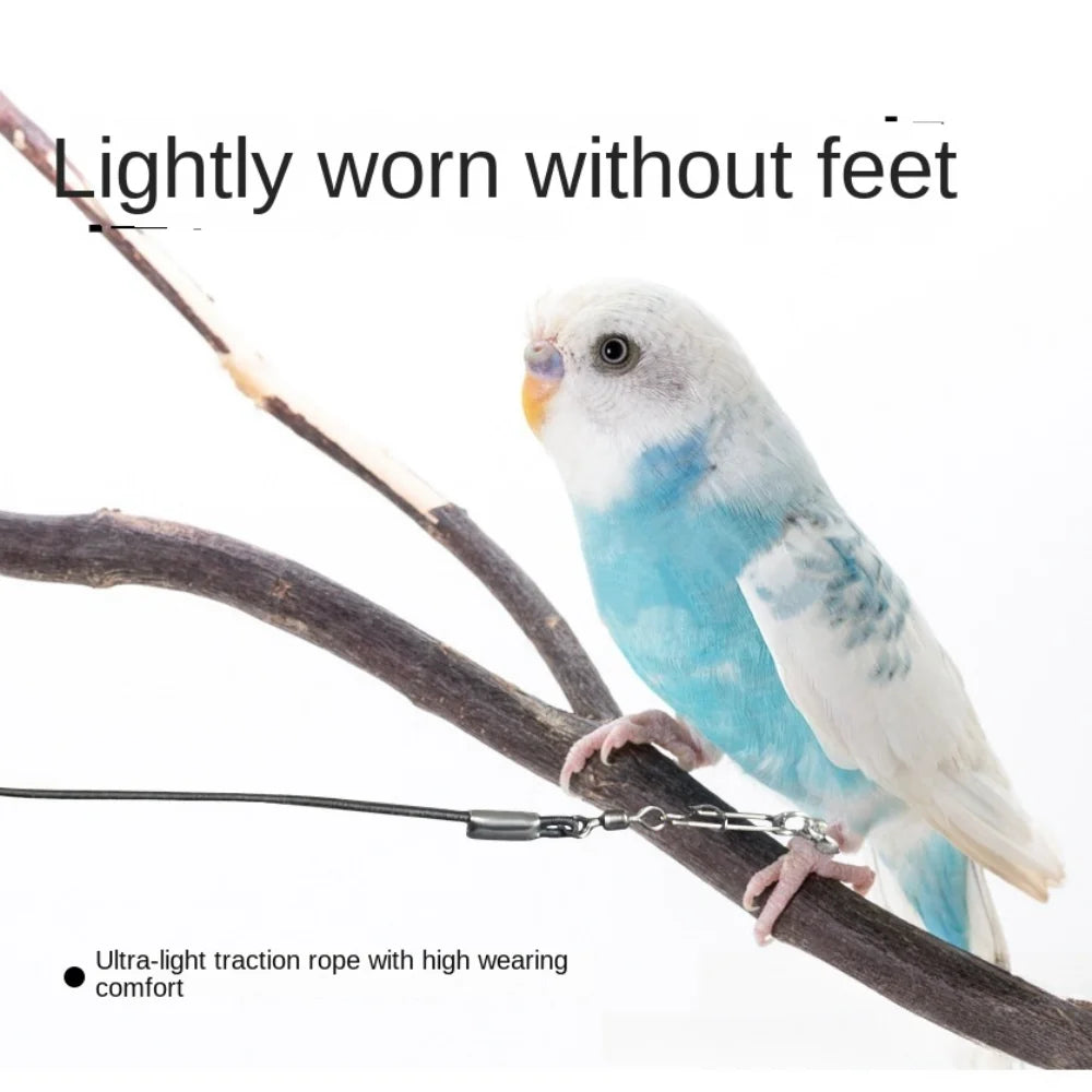 Elastic Parrot Training Leash with Metal Buckle
