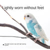 Elastic Parrot Training Leash with Metal Buckle