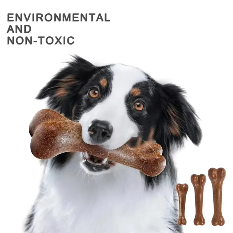 A black and white dog is holding a brown beef bacon-flavored durable chew toy bone.