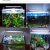 Lampe LED à clipser pour aquarium
