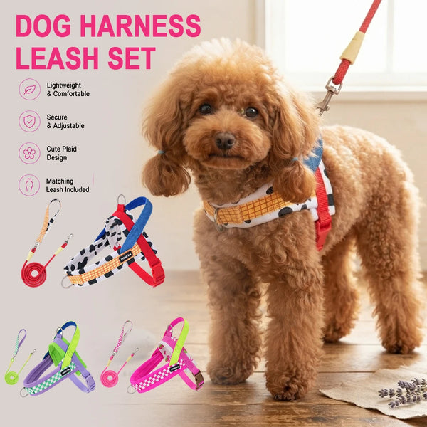 A fluffy brown dog wearing a plaid harness and leash set with various colored leashes displayed below.