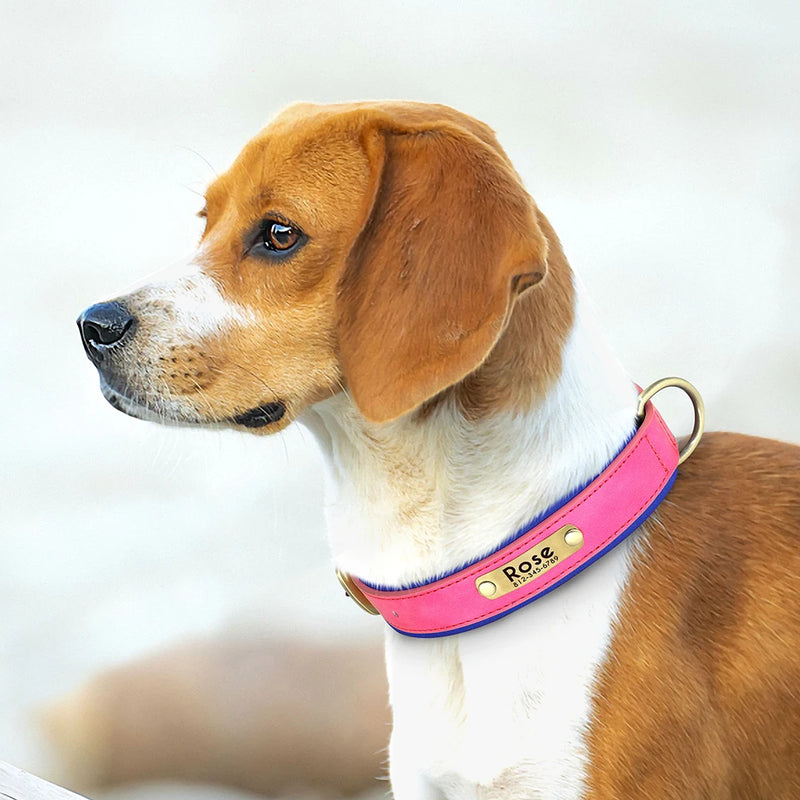 Personalisierte gepolsterte Leder-Hundehalsband mit graviertem Namensschild